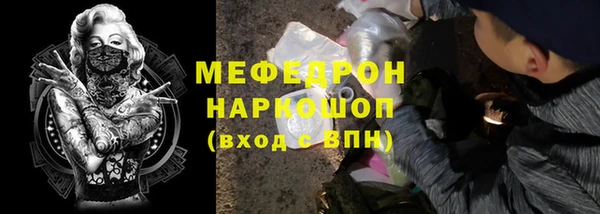 индика Аркадак