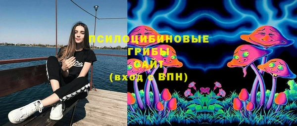 индика Аркадак