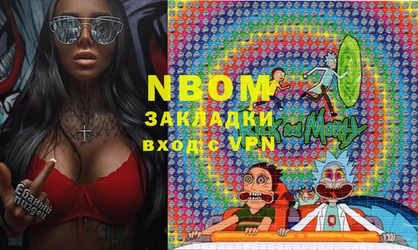 индика Аркадак